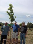 Pat, Tom, & George - 38 trees planted