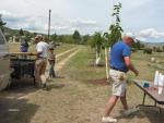 Volunteers & Growing Friends of Helena planted 38 Littleleaf Linden & Green Ash Trees