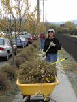 Parkway clean-up in October