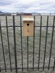 bluebird houses