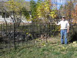 Replaced deer fence with hog panels (2)