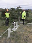 Delane Bibler and seven employees of Resurrection Cemetery helped trim and haul shrubbery from Benton.