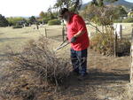 Joe Jorge trimming bushes.